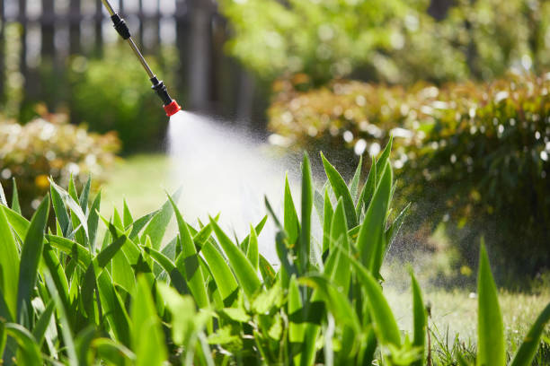 Tamper-Resistant Bait Stations for Rodents in Gwinn