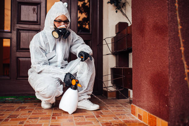 Attic and Crawl Space Rodent Treatment in Gwinn